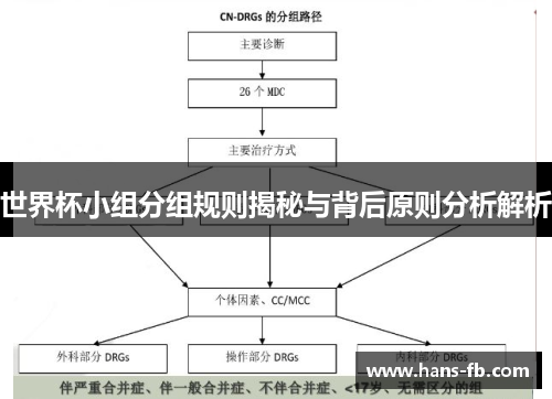 世界杯小组分组规则揭秘与背后原则分析解析