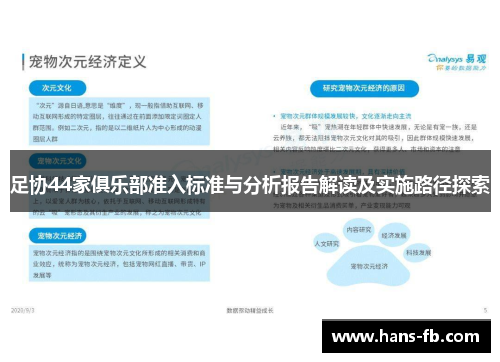 足协44家俱乐部准入标准与分析报告解读及实施路径探索