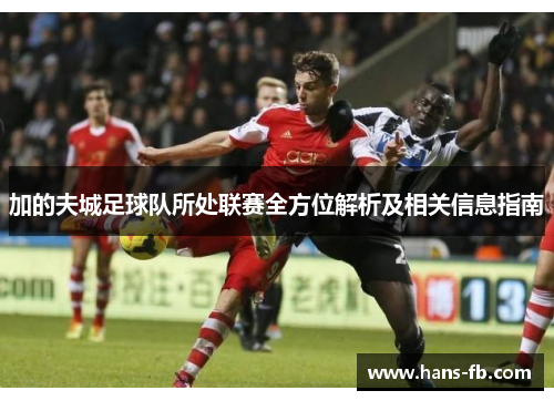 加的夫城足球队所处联赛全方位解析及相关信息指南