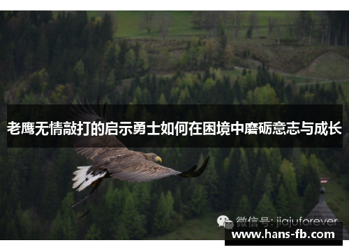 老鹰无情敲打的启示勇士如何在困境中磨砺意志与成长